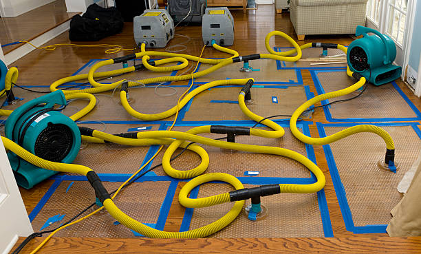 Professional Basement Flood Cleanup technician working in New York, NY